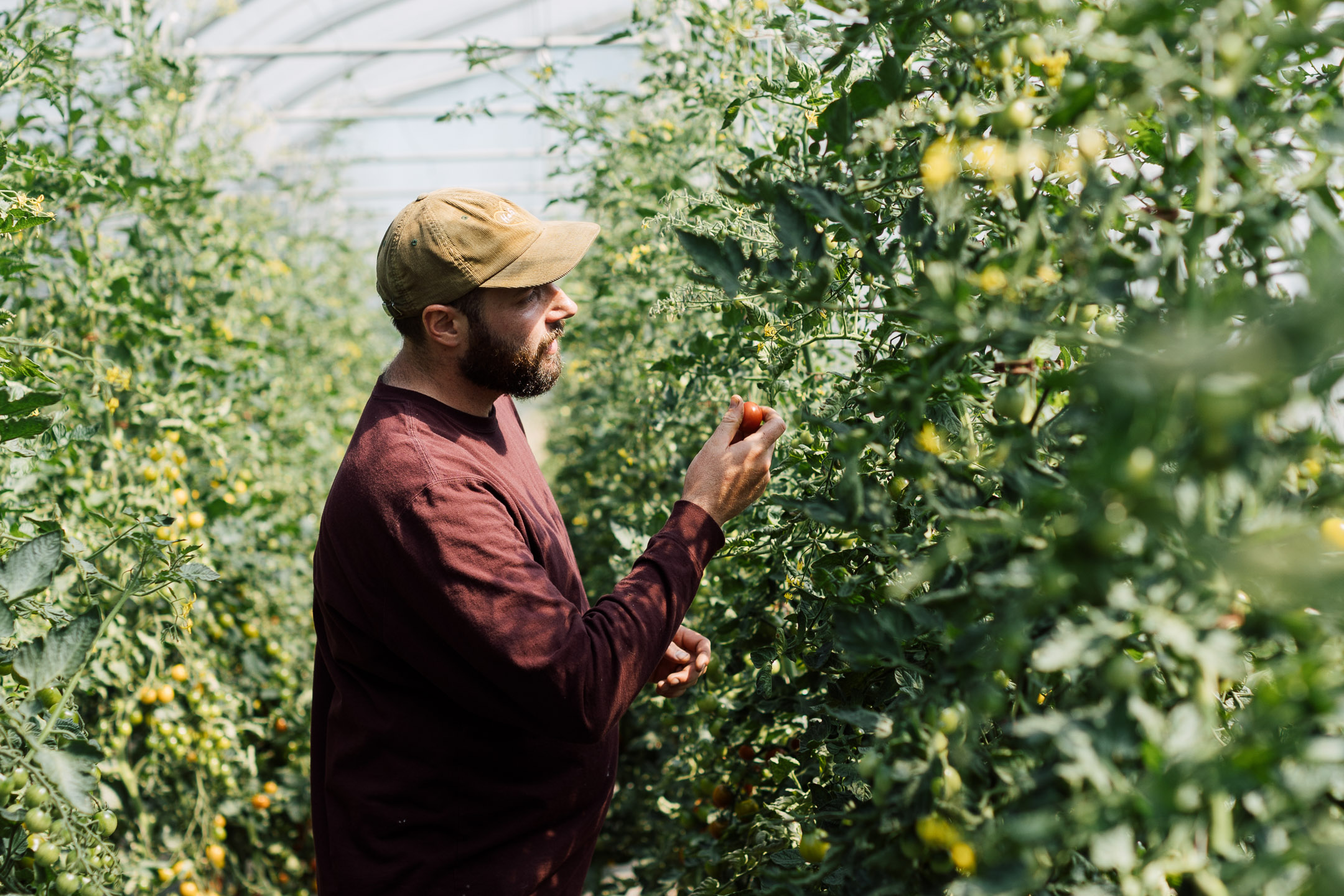 Tomer at Stone's Throw Organics