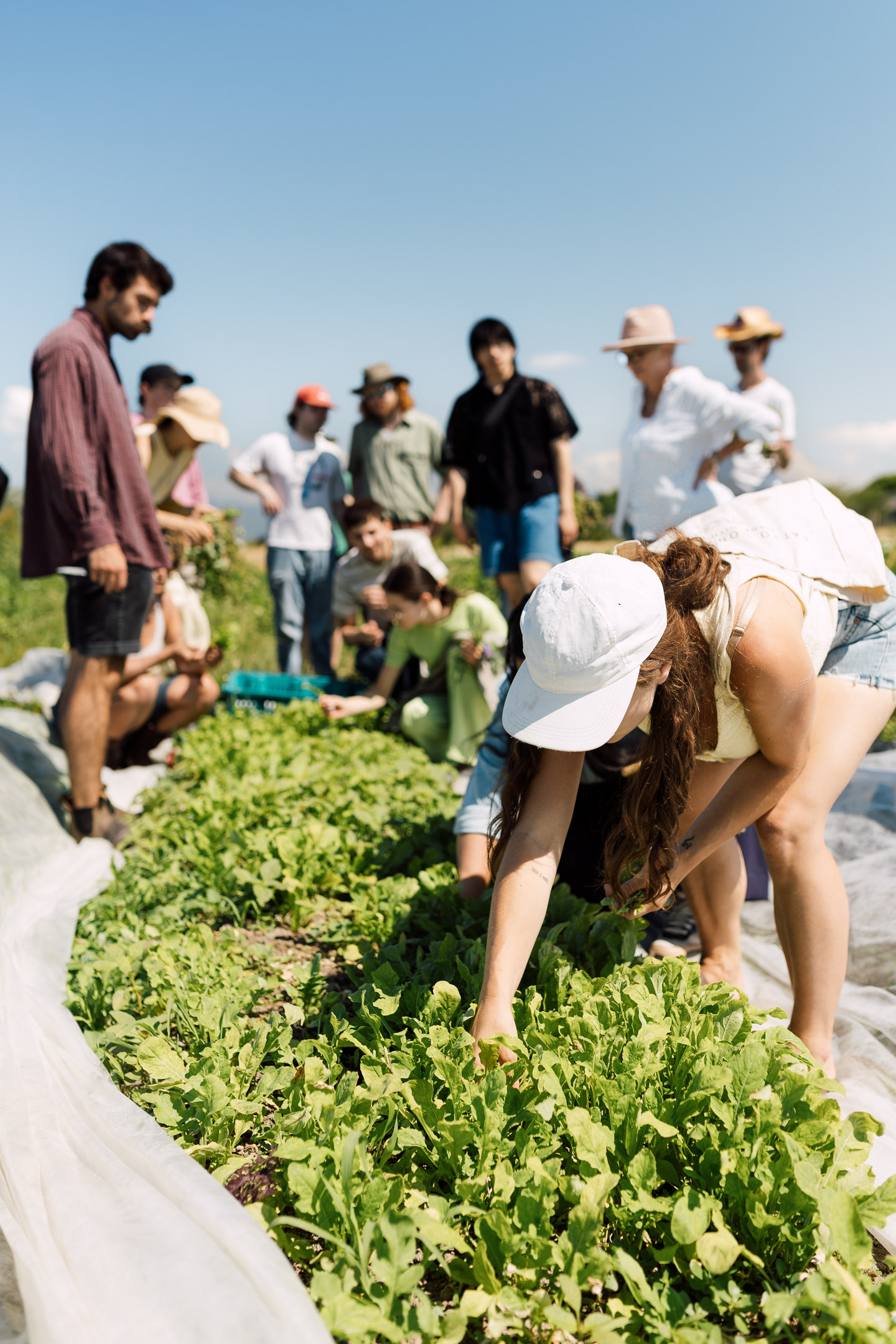 Tomer in the field at Stone's Throw Organics